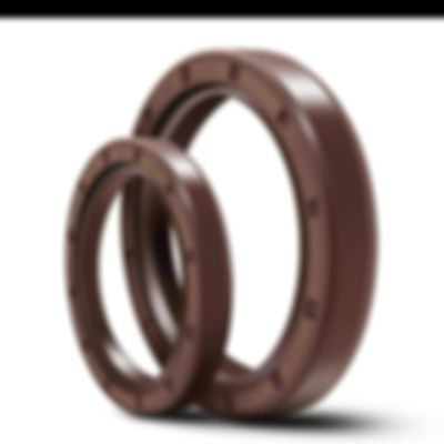 TC SC TCN TCV Standard Nonstandard NBR FKM Shaft Oil Seal Skeleton Seal